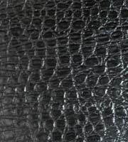 Black Gator