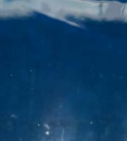 Blue Patent