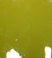 Lime Patent